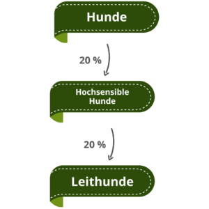 Leithunde / Hochsensible Hunde