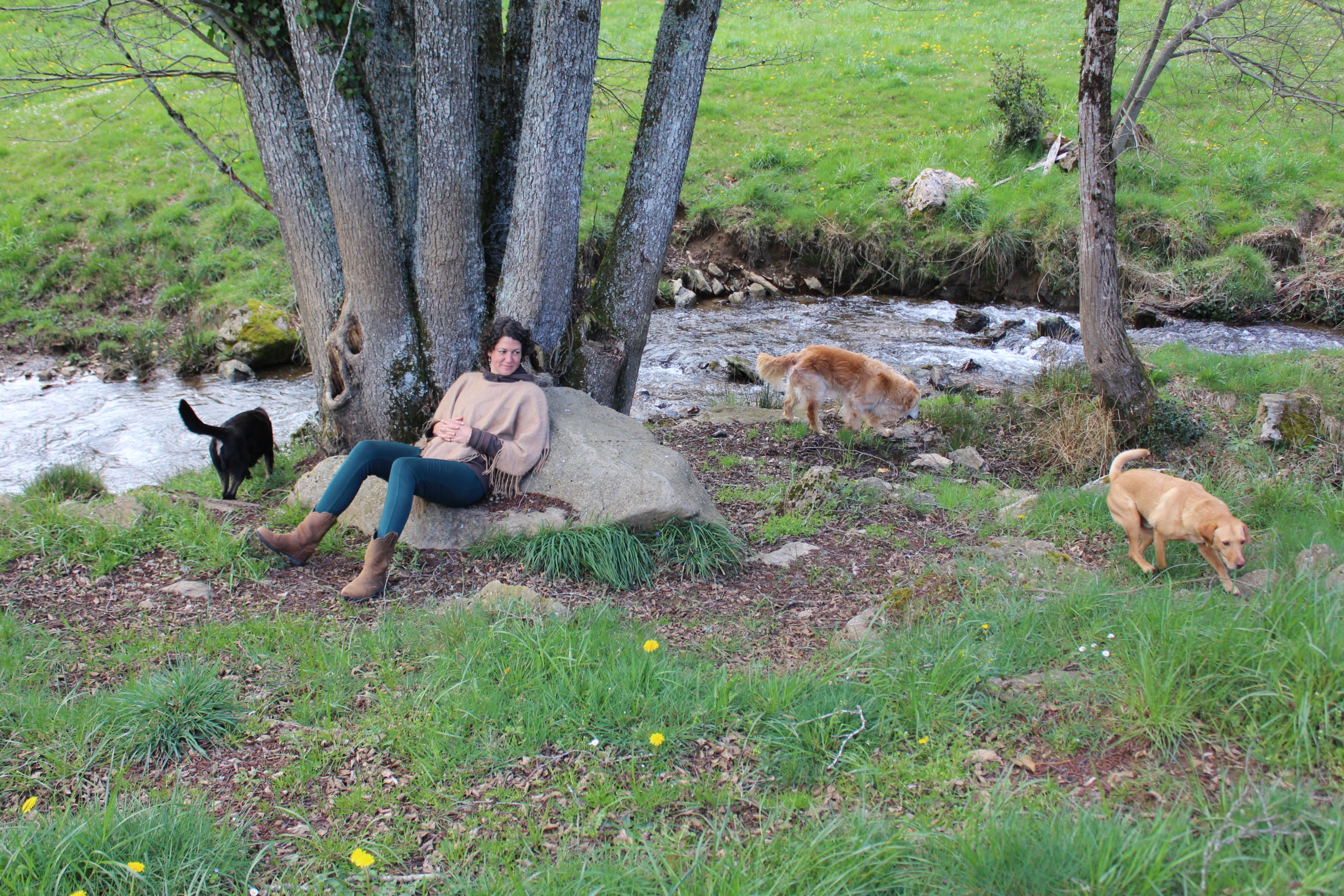 Melanie vor einem grossen Baum direkt neben einem Bach mit 3 ihrer Hunde