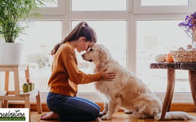 Selbstliebe: Der Weg zu dir selbst – und wie es auch deinem Hund hilft