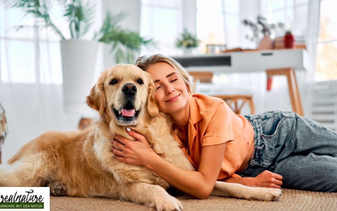 Mindset im Umgang mit deinem Hund