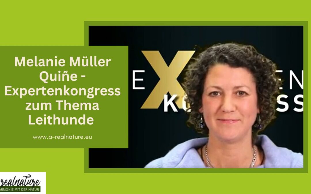 Meine Rede beim Expertenkongress