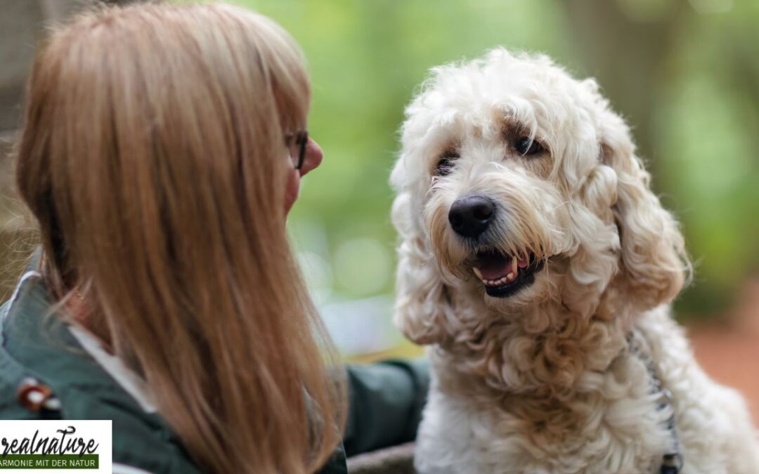 Telepathisch mit Hunden kommunizieren