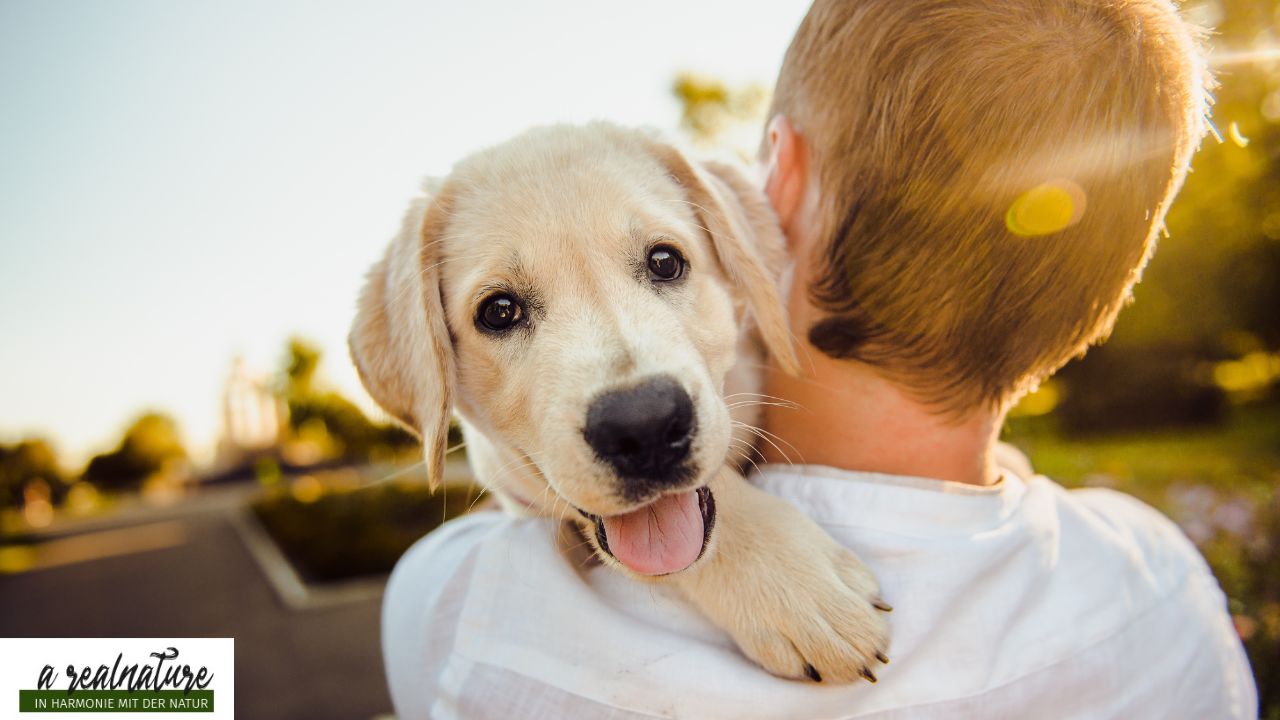 Unsere Wortwahl und die Beziehung zum Hund