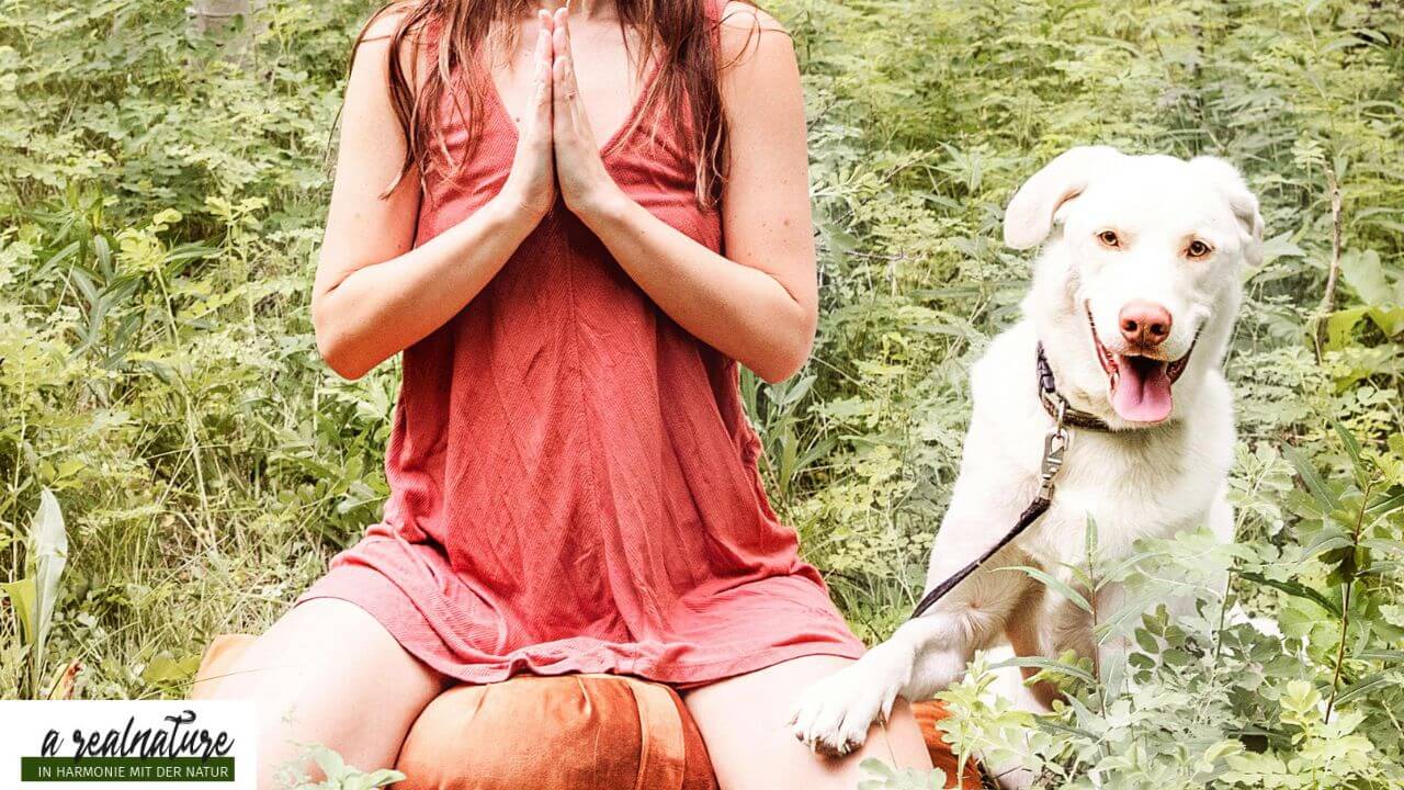 Tiere unsere besten spirituellen Lehrer (1)
