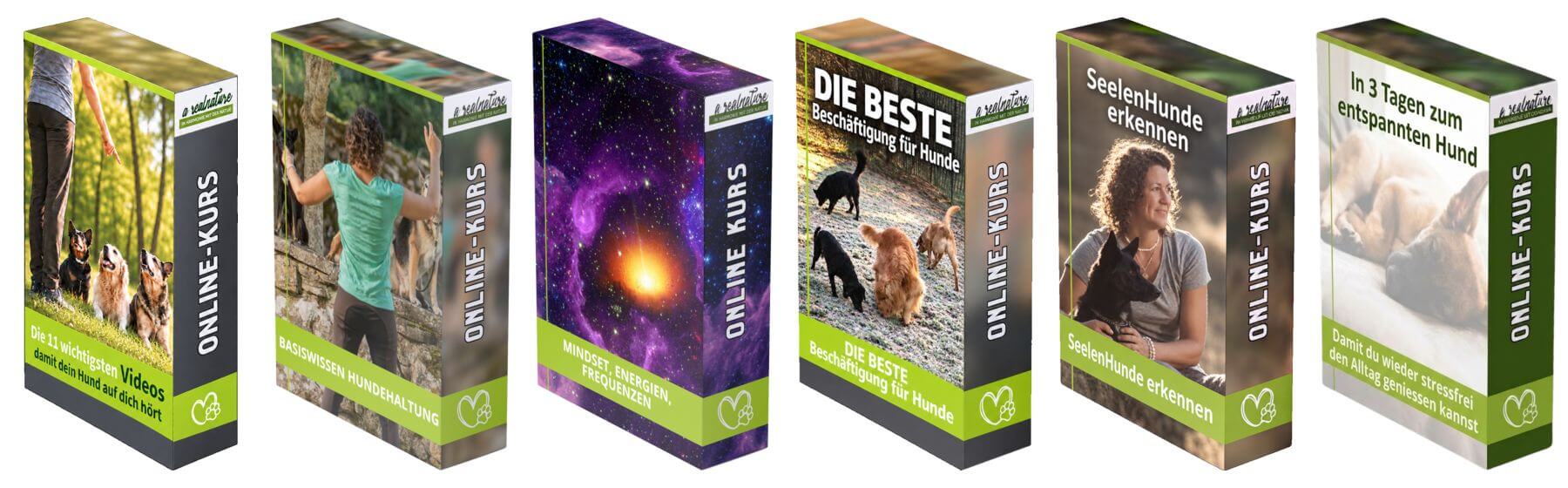 Alle 6 Online-Kurse von a-realnature im Bundle
